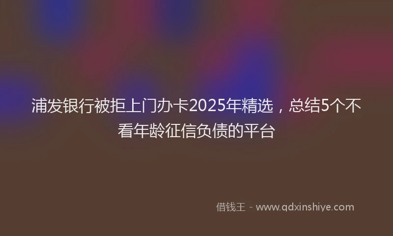 浦发银行被拒上门办卡2025年精选，总结5个不看年龄征信负债的平台