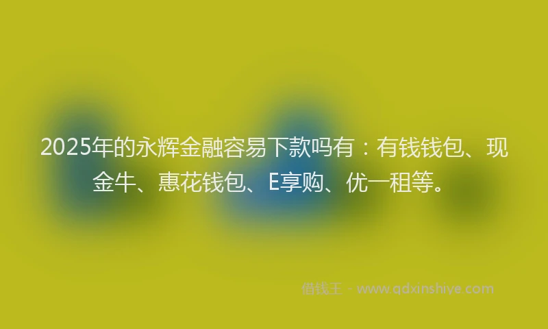 2025年的永辉金融容易下款吗有：有钱钱包、现金牛、惠花钱包、E享购、优一租等。