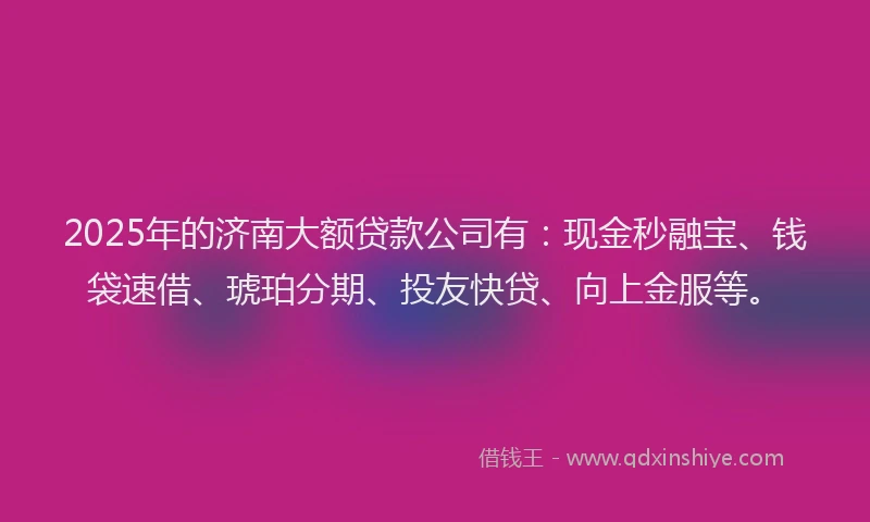 2025年的济南大额贷款公司有：现金秒融宝、钱袋速借、琥珀分期、投友快贷、向上金服等。