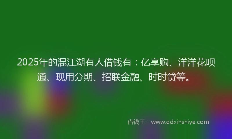 2025年的混江湖有人借钱有：亿享购、洋洋花呗通、现用分期、招联金融、时时贷等。