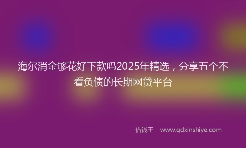 海尔消金够花好下款吗2025年精选，分享五个不看负债的长期网贷平台