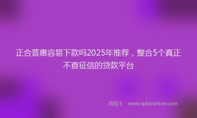 正合普惠容易下款吗2025年推荐，整合5个真正不查征信的贷款平台