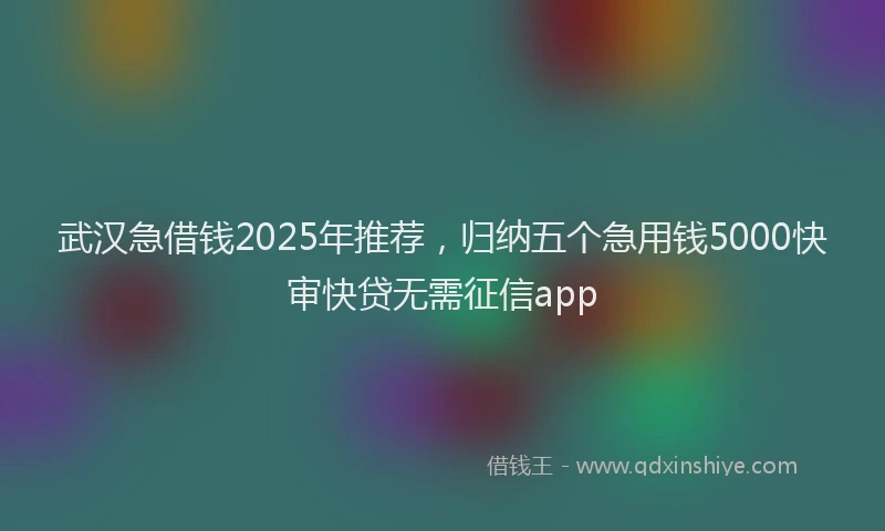 武汉急借钱2025年推荐，归纳五个急用钱5000快审快贷无需征信app
