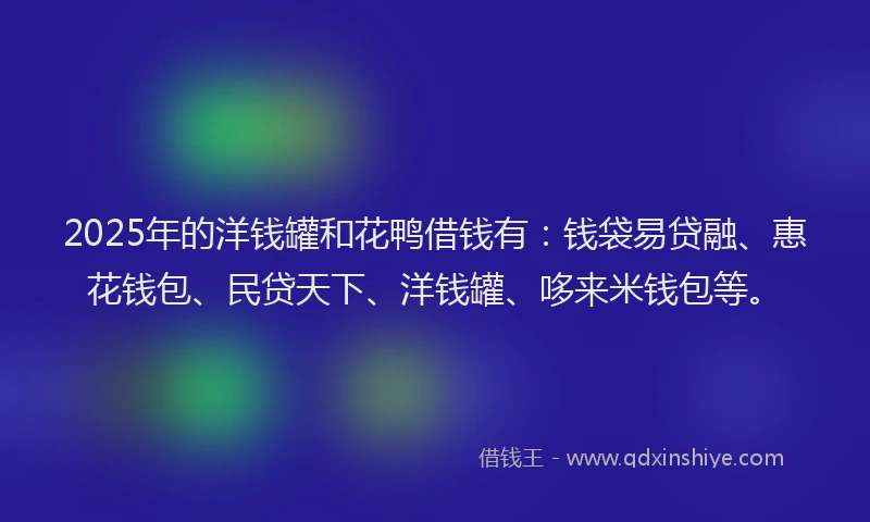 2025年的洋钱罐和花鸭借钱有：钱袋易贷融、惠花钱包、民贷天下、洋钱罐、哆来米钱包等。