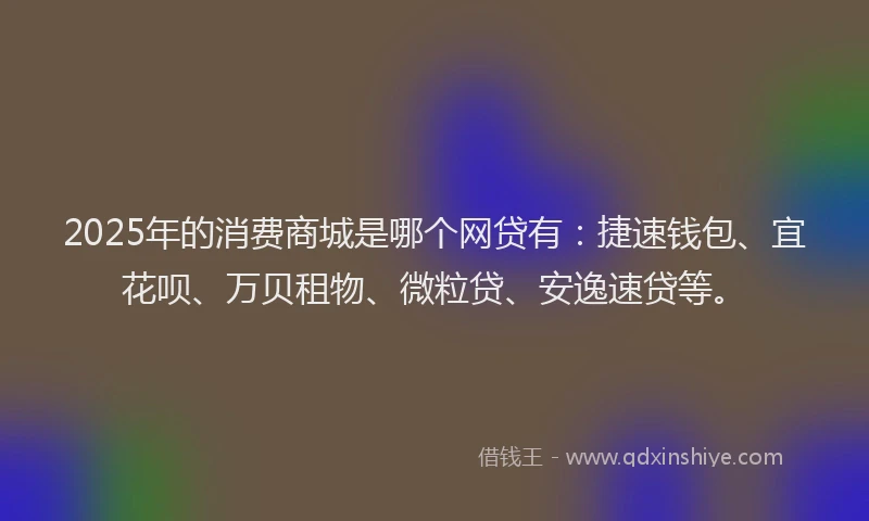 2025年的消费商城是哪个网贷有：捷速钱包、宜花呗、万贝租物、微粒贷、安逸速贷等。