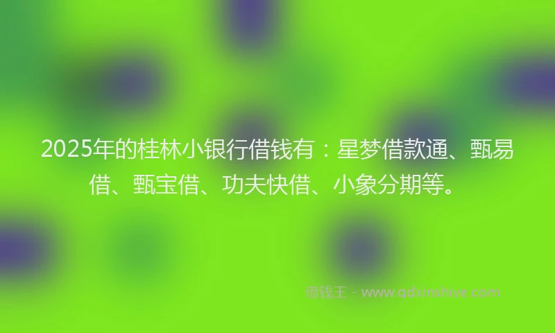 2025年的桂林小银行借钱有：星梦借款通、甄易借、甄宝借、功夫快借、小象分期等。