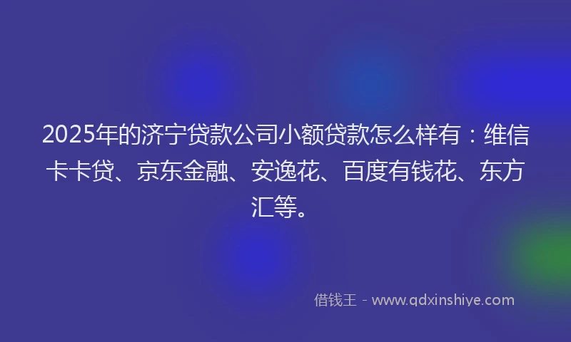 2025年的济宁贷款公司小额贷款怎么样有：维信卡卡贷、京东金融、安逸花、百度有钱花、东方汇等。