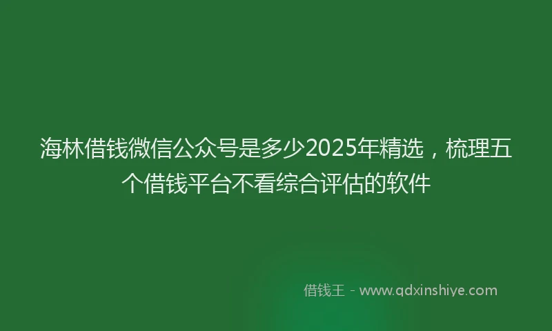 海林借钱微信公众号是多少2025年精选，梳理五个借钱平台不看综合评估的软件