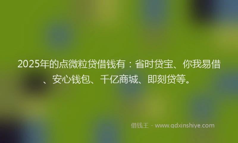 2025年的点微粒贷借钱有：省时贷宝、你我易借、安心钱包、千亿商城、即刻贷等。