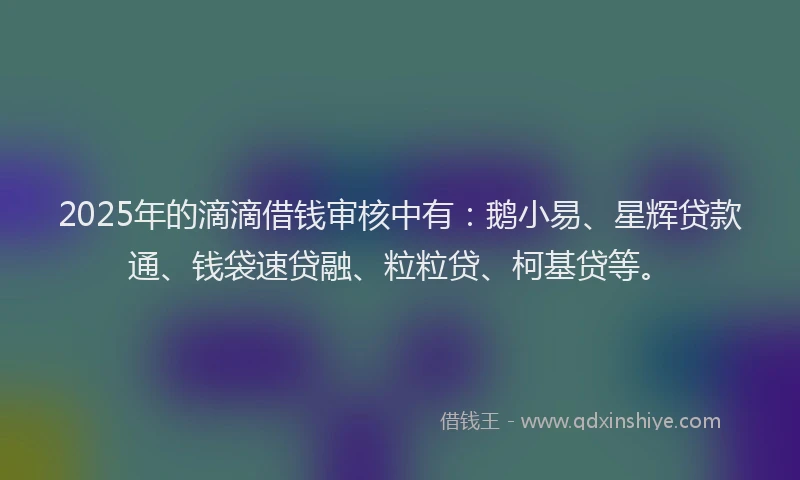2025年的滴滴借钱审核中有：鹅小易、星辉贷款通、钱袋速贷融、粒粒贷、柯基贷等。