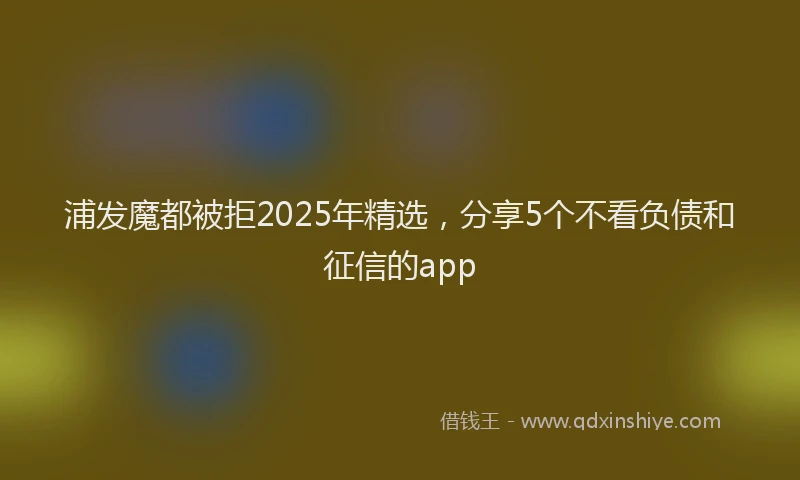 浦发魔都被拒2025年精选，分享5个不看负债和征信的app