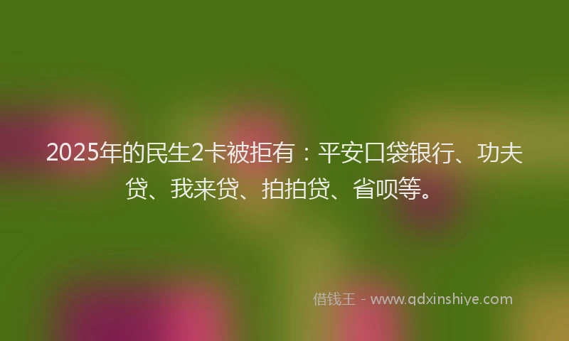 2025年的民生2卡被拒有：平安口袋银行、功夫贷、我来贷、拍拍贷、省呗等。