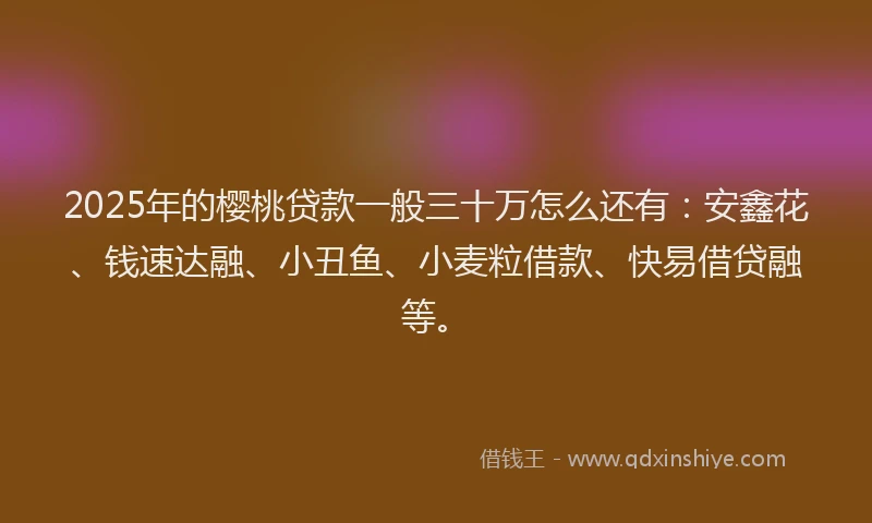 2025年的樱桃贷款一般三十万怎么还有：安鑫花、钱速达融、小丑鱼、小麦粒借款、快易借贷融等。
