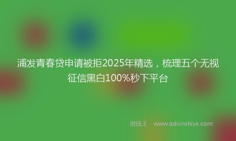 浦发青春贷申请被拒2025年精选，梳理五个无视征信黑白100%秒下平台
