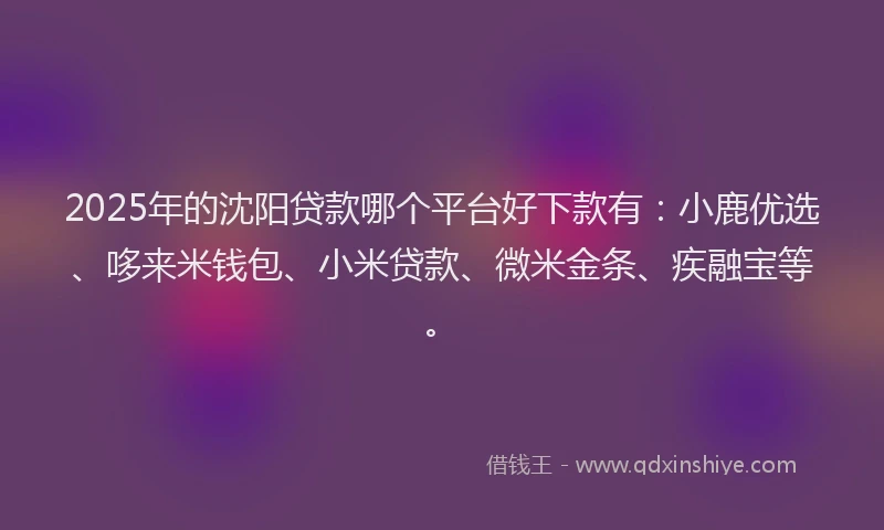 2025年的沈阳贷款哪个平台好下款有：小鹿优选、哆来米钱包、小米贷款、微米金条、疾融宝等。