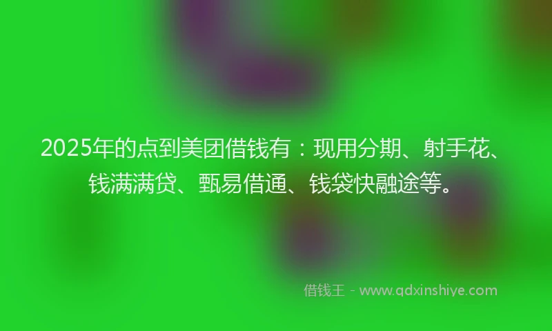2025年的点到美团借钱有：现用分期、射手花、钱满满贷、甄易借通、钱袋快融途等。