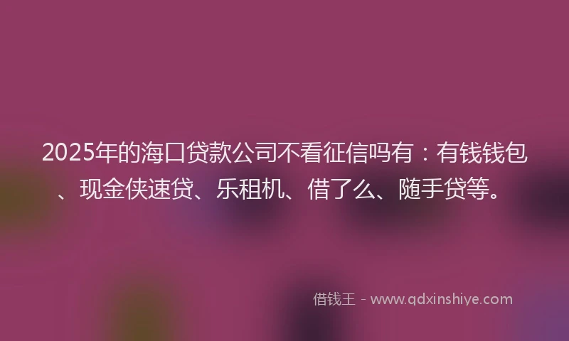2025年的海口贷款公司不看征信吗有：有钱钱包、现金侠速贷、乐租机、借了么、随手贷等。