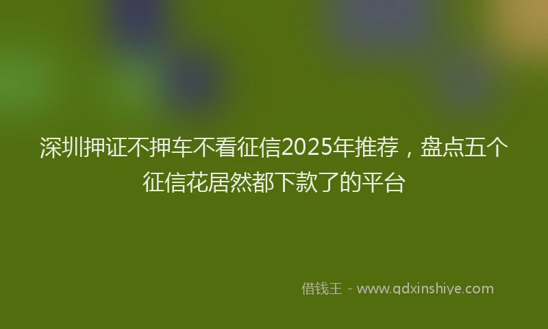 深圳押证不押车不看征信2025年推荐，盘点五个征信花居然都下款了的平台