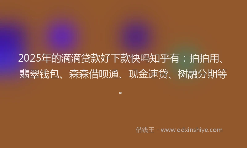 2025年的滴滴贷款好下款快吗知乎有：拍拍用、翡翠钱包、森森借呗通、现金速贷、树融分期等。