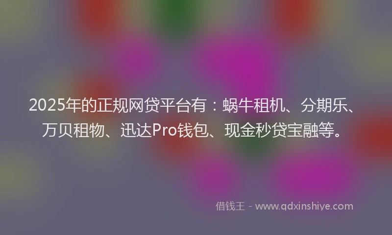 2025年的正规网贷平台有：蜗牛租机、分期乐、万贝租物、迅达Pro钱包、现金秒贷宝融等。