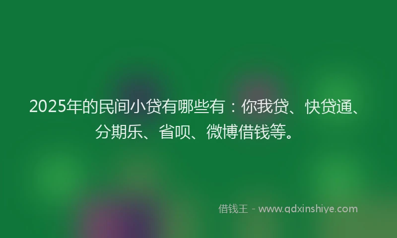 2025年的民间小贷有哪些有：你我贷、快贷通、分期乐、省呗、微博借钱等。