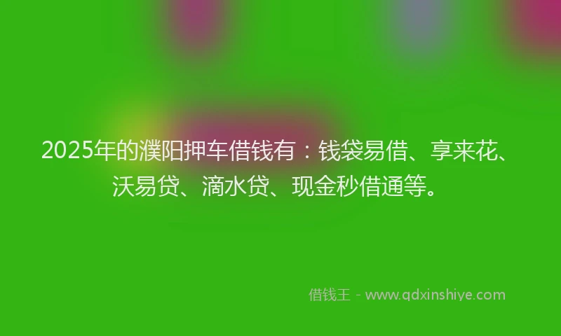 2025年的濮阳押车借钱有：钱袋易借、享来花、沃易贷、滴水贷、现金秒借通等。