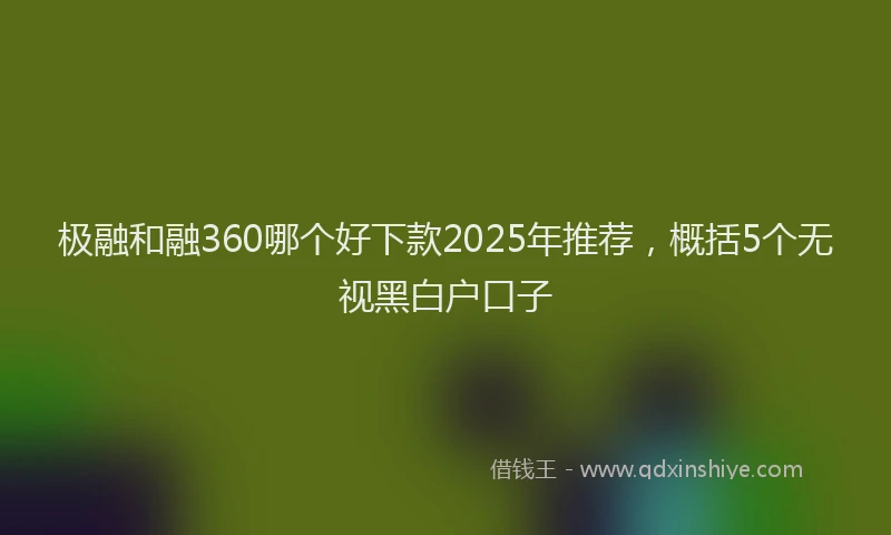 极融和融360哪个好下款2025年推荐，概括5个无视黑白户口子