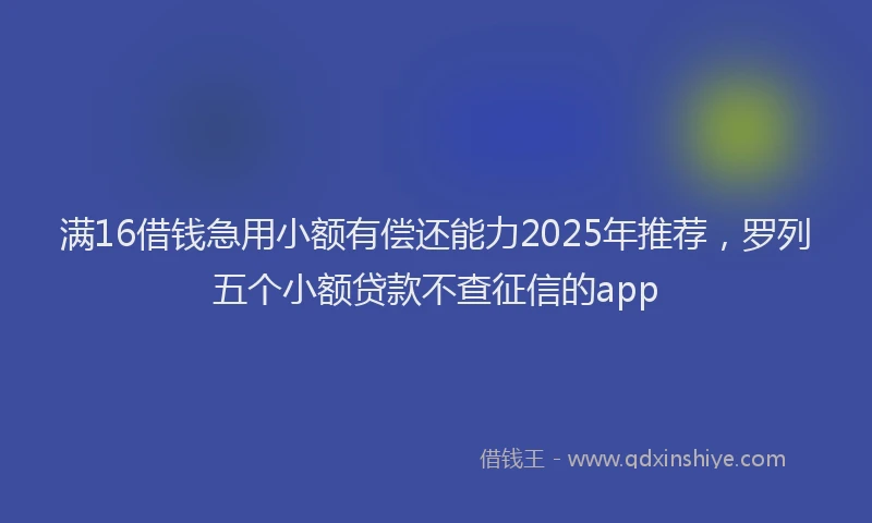 满16借钱急用小额有偿还能力2025年推荐，罗列五个小额贷款不查征信的app