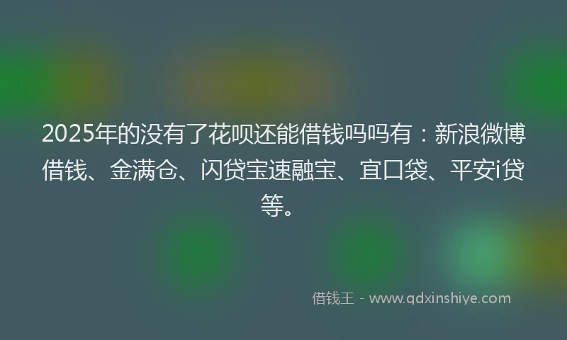 2025年的没有了花呗还能借钱吗吗有：新浪微博借钱、金满仓、闪贷宝速融宝、宜口袋、平安i贷等。