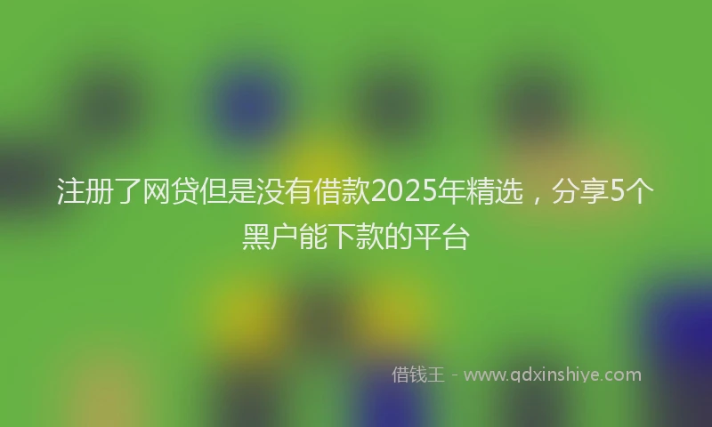 注册了网贷但是没有借款2025年精选，分享5个黑户能下款的平台