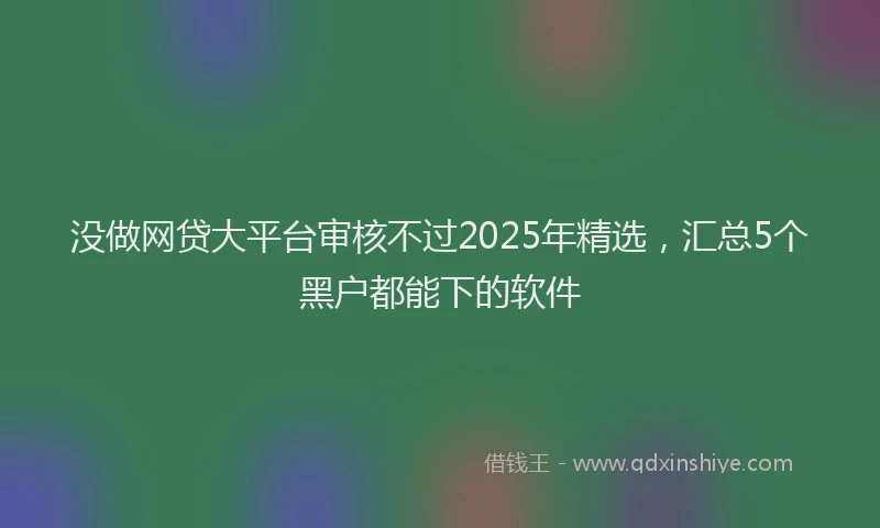 没做网贷大平台审核不过2025年精选，汇总5个黑户都能下的软件