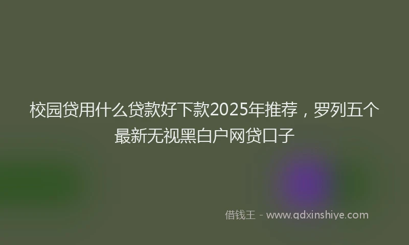 校园贷用什么贷款好下款2025年推荐，罗列五个最新无视黑白户网贷口子