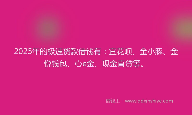 2025年的极速货款借钱有：宜花呗、金小豚、金悦钱包、心e金、现金直贷等。