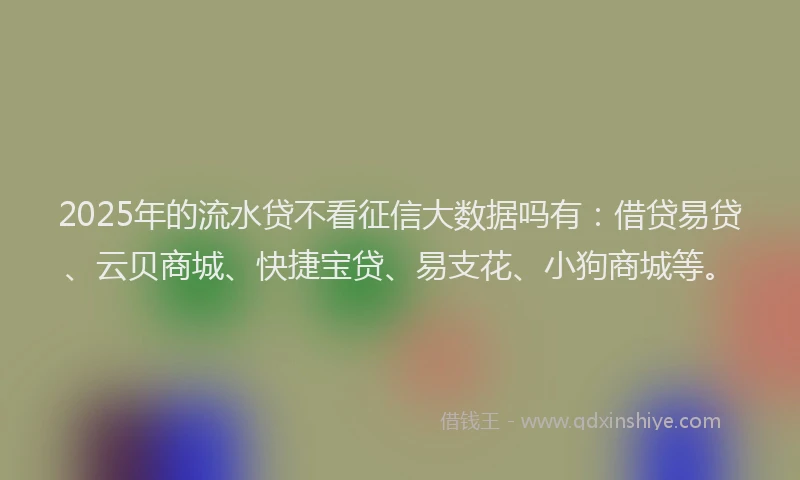 2025年的流水贷不看征信大数据吗有：借贷易贷、云贝商城、快捷宝贷、易支花、小狗商城等。