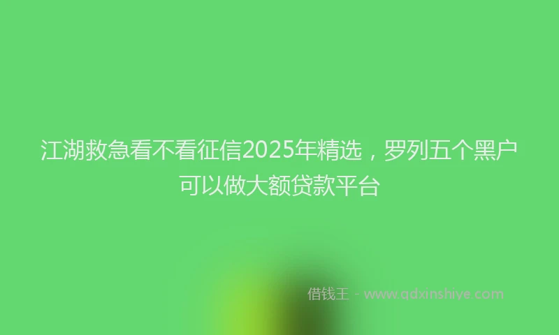 江湖救急看不看征信2025年精选，罗列五个黑户可以做大额贷款平台