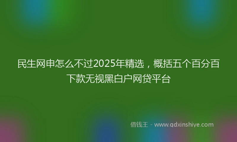 民生网申怎么不过2025年精选，概括五个百分百下款无视黑白户网贷平台