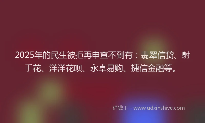 2025年的民生被拒再申查不到有：翡翠信贷、射手花、洋洋花呗、永卓易购、捷信金融等。