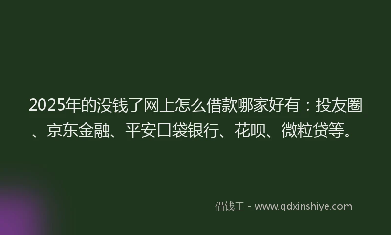 2025年的没钱了网上怎么借款哪家好有：投友圈、京东金融、平安口袋银行、花呗、微粒贷等。