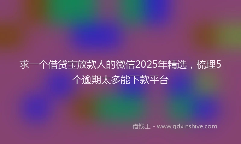 求一个借贷宝放款人的微信2025年精选，梳理5个逾期太多能下款平台