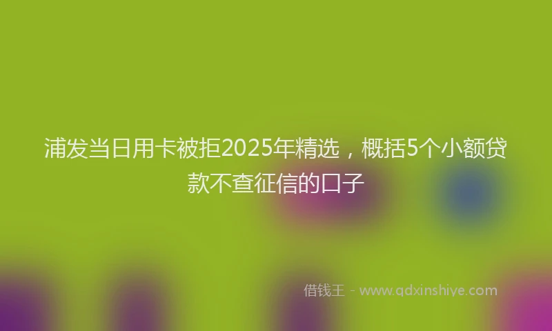 浦发当日用卡被拒2025年精选，概括5个小额贷款不查征信的口子