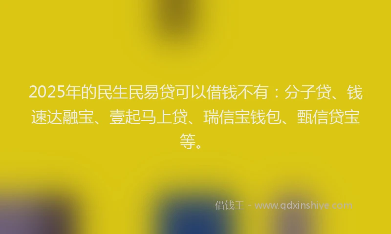 2025年的民生民易贷可以借钱不有：分子贷、钱速达融宝、壹起马上贷、瑞信宝钱包、甄信贷宝等。