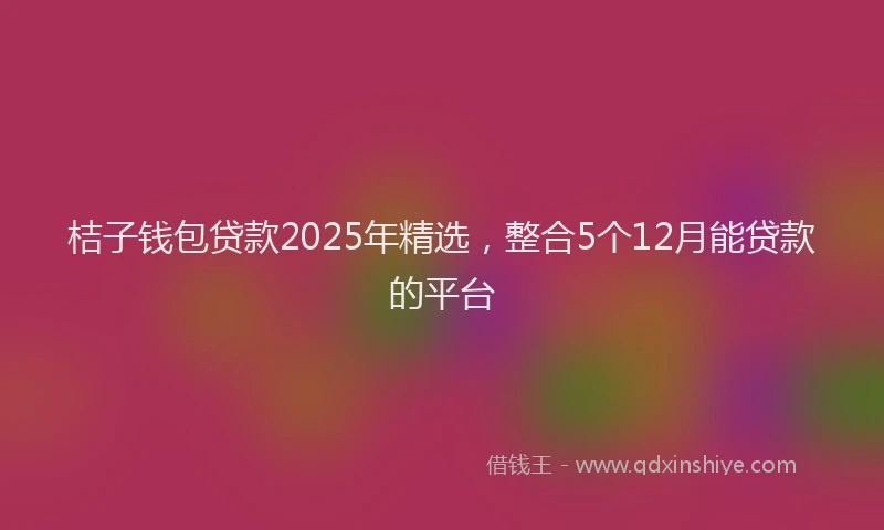 桔子钱包贷款2025年精选，整合5个12月能贷款的平台