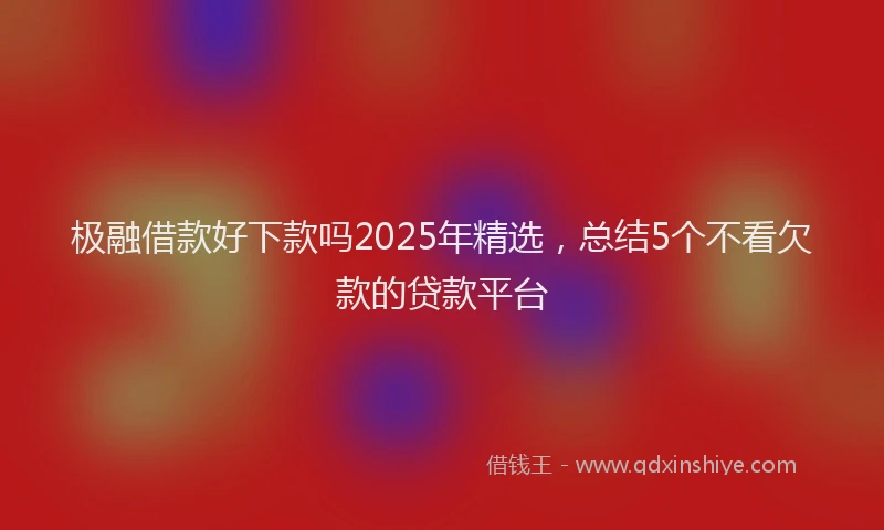 极融借款好下款吗2025年精选，总结5个不看欠款的贷款平台