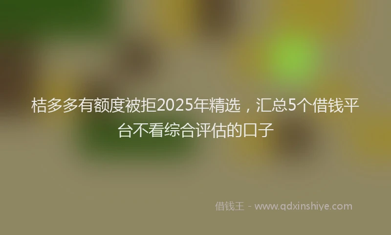 桔多多有额度被拒2025年精选，汇总5个借钱平台不看综合评估的口子