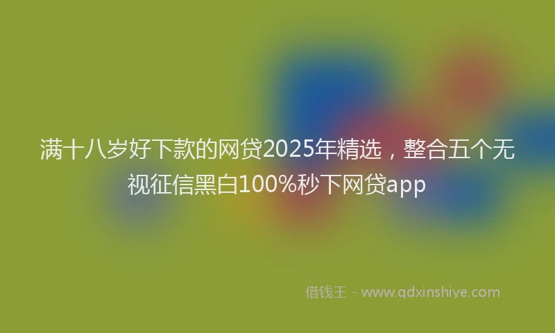 满十八岁好下款的网贷2025年精选，整合五个无视征信黑白100%秒下网贷app