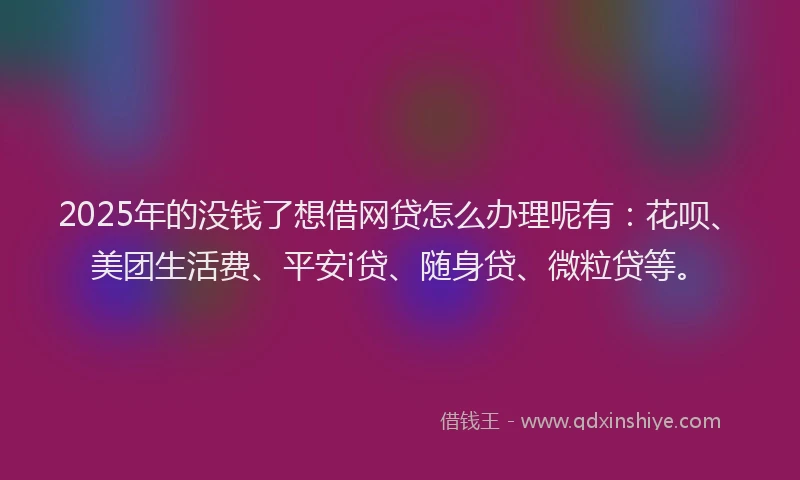2025年的没钱了想借网贷怎么办理呢有：花呗、美团生活费、平安i贷、随身贷、微粒贷等。