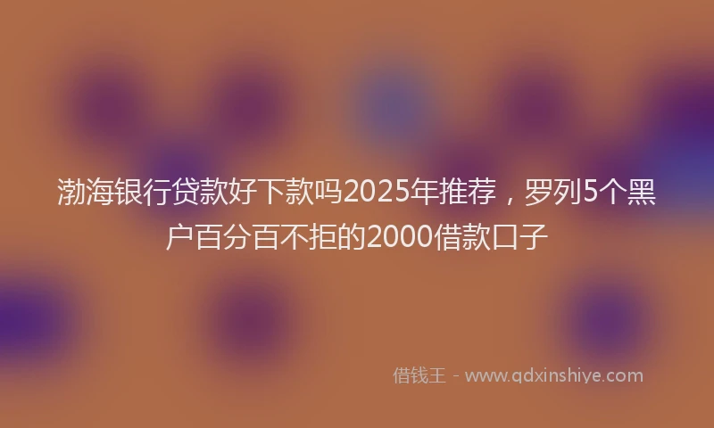 渤海银行贷款好下款吗2025年推荐，罗列5个黑户百分百不拒的2000借款口子
