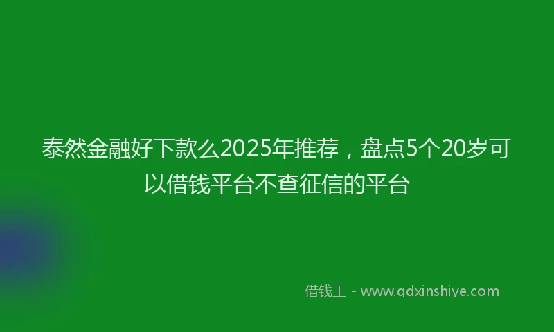 泰然金融好下款么2025年推荐，盘点5个20岁可以借钱平台不查征信的平台