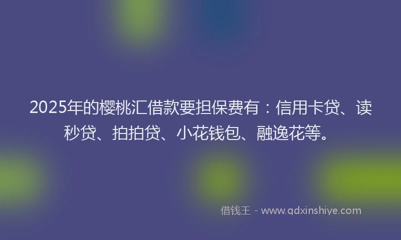 2025年的樱桃汇借款要担保费有：信用卡贷、读秒贷、拍拍贷、小花钱包、融逸花等。