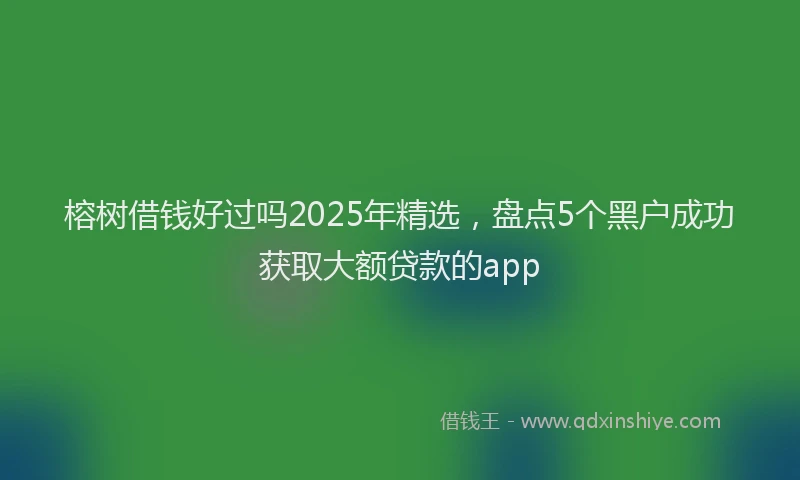 榕树借钱好过吗2025年精选，盘点5个黑户成功获取大额贷款的app